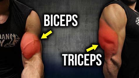 KILLER Biceps Triceps Exercises FULL BIG ARMS WORKOUT YouTube