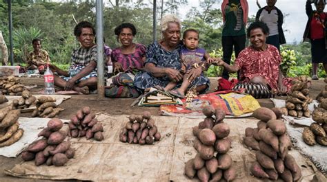 improving opportunities for economic development for women smallholders in rural papua new