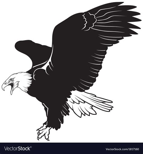 Bald Eagles Birds Eagle Svg Bird Clipart Digital Download Eagle Images