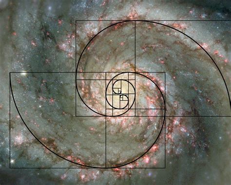 The Universe In A Spiral Scientific Scribbles