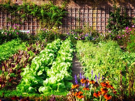 Top Five Benefits To Growing Organic Gardens