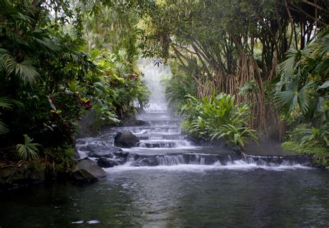 The Best Natural Hot Springs In Costa Rica