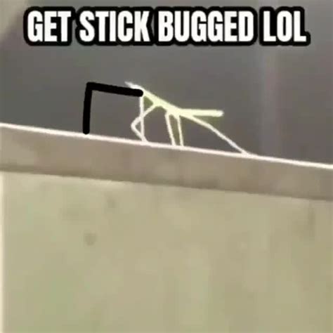 Get Stick Bugged Lol Ifunny