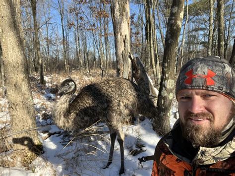 Hunter Shoots Buck With Help Of Emu