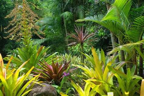 Tropical Gardens Diacos