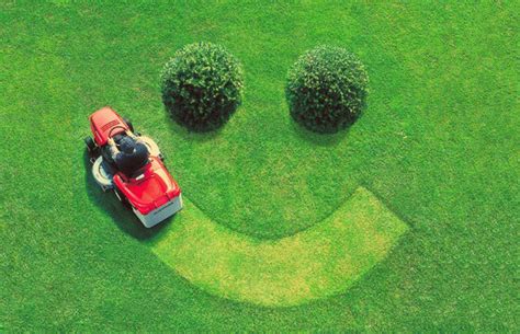 Stop doing manual labor and actually. Tips for Hiring a Local Lawn Service Provider For Your Property | ANCS Real Estate - Home ...