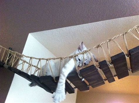 Crafting A Cat Rope Bridge 10 Creative Designs To Inspire