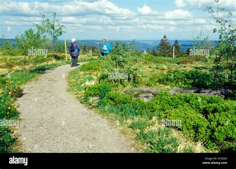 Elderly Ramblers In The Black Forest Germany Stock Photo Alamy