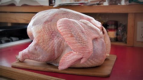 Heres How To Cook Your Thanksgiving Turkey In The Dishwasher Grist