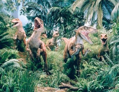 Velociraptor Movie Canon Park Pedia Jurassic Park Dinosaurs