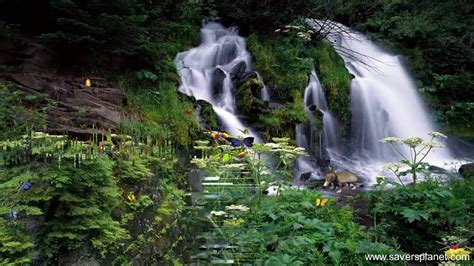 Charming Waterfalls Free Waterfalls Screensaver Youtube