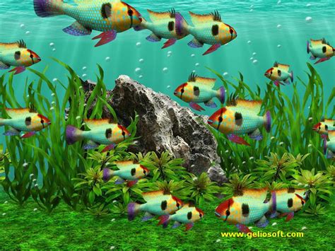 Moving Mikrogeophagus Ramirezi Fish Screensaver And Free Wallpaper