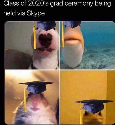 See more ideas about memes, funny memes, funny. I dont have corona, I have covid-19 : memes
