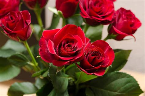 Piękne Różowe I Czerwone Róże Kwitną Przy Parisian Kwiatu Sklepem Obraz