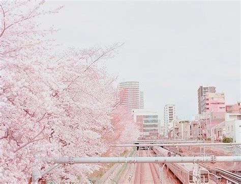 Image Result For Aesthetic Japan Pink Pastel Pink Aesthetic Pink
