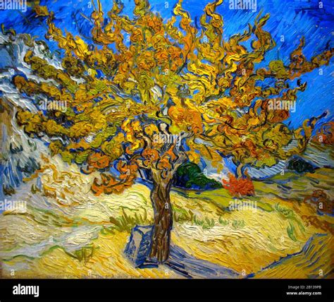 The Mulberry Tree Painting By Vincent Van Gogh Very High Resolution