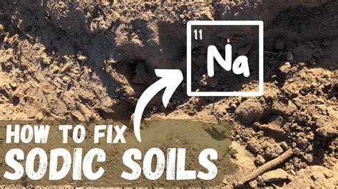 How To Fix Sodic Soils Regenerative Agriculture Youtube