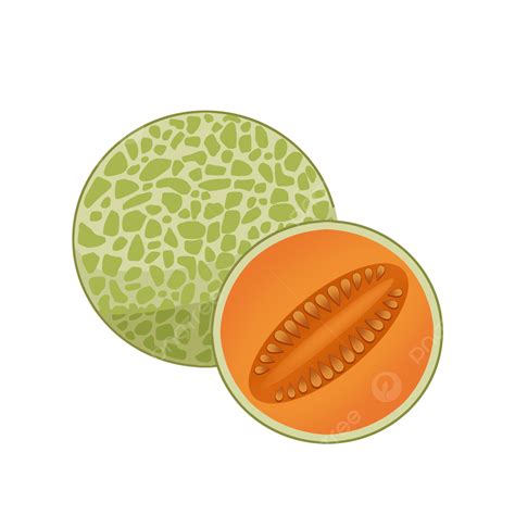 Imágenes Prediseñadas De Flores Melón Fresco Png Cantalupo Fruta