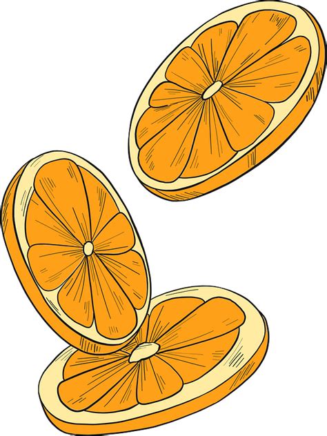 26 Best Ideas For Coloring Orange Slice Clipart