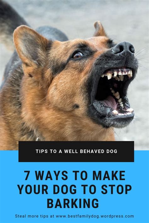 How To Get Your Dog To Stop Barking Dog Training Training Your Dog