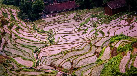 Top 9 Terraced Rice Fields In China The Most Beautiful Terrace Fields