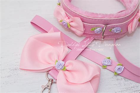 Ddlg Pretty Pink Furry Bdsm Bondage Collar And Leash Set Roses Etsy