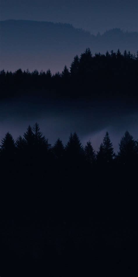 Dark Forest Hd Iphone Wallpaper Iphone Wallpapers Iphone Wallpapers