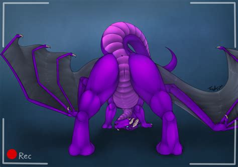 Rule 34 Anus Dragon Fefairy Female Feral Horn Pussy Simple Background