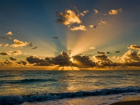 Florida Sunrise Wallpapers Top Free Florida Sunrise Backgrounds Wallpaperaccess