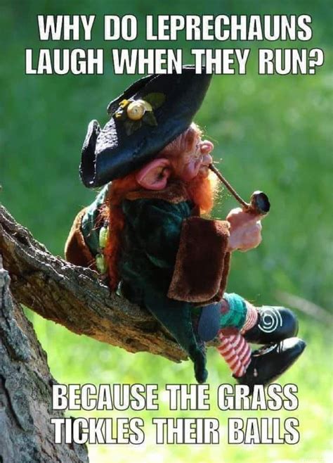 B A Leprechaun 😄😄 Funny Adult Memes Funny Jokes For Adults Stupid