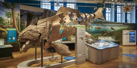 Royal Ontario Museum In Toronto Things To See And Fun Facts