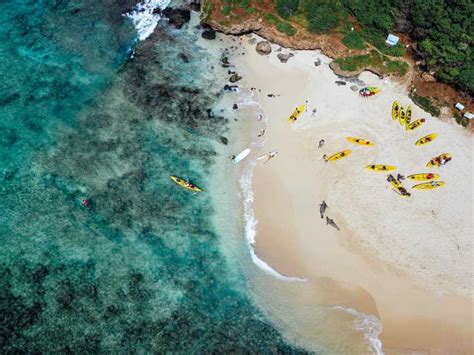 Oahu Twin Islands Guided Kailua Kayak Tour Getyourguide