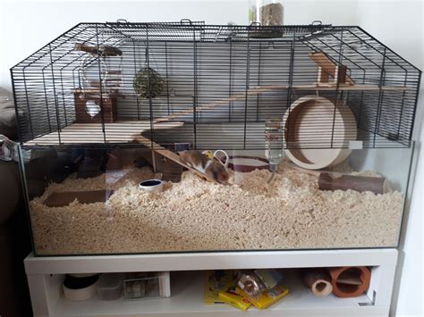 Cleaned Our Babe Puffers Cage Today And Thought I D Share My Set Up With You Suggestions For