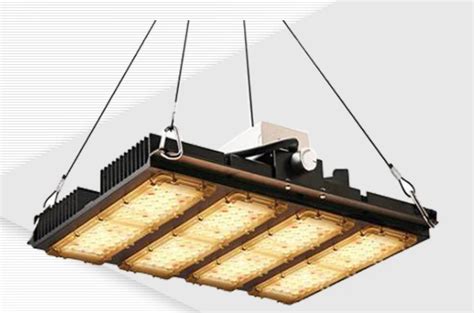 Check spelling or type a new query. Where to Buy Grow Lights & Buying Guide for Beginners ...