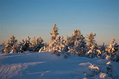 Winter Landscape In Hedmark County Norway Stock Image Image Of Norway