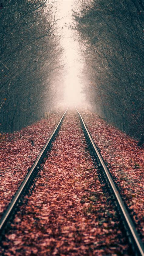 Download Wallpaper 1350x2400 Rails Forest Railway Autumn Foliage