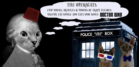 The Operacats Weeping Angel Cats Dont Blink