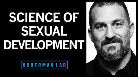 Biological Influences On Sex Sex Differences And Preferences Huberman