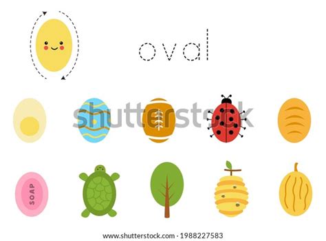 Basic Geometric Shapes Children Learn Oval Stock Vector Royalty Free