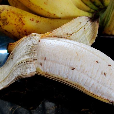 Is It True That Humans Share 60 Of Their Dna With A Banana Quora
