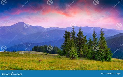 Colorful Summer Sunrise In The Carpathians Stock Photo Image Of
