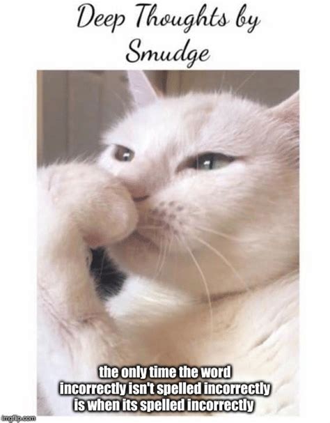 Deep Thoughts With Smudge Imgflip