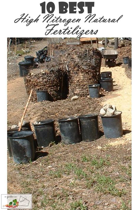 Down to earth organic vegan fertilizer can be used. 10 Best High Nitrogen Natural Fertilizers for organic gardens | Natural fertilizer, Organic ...