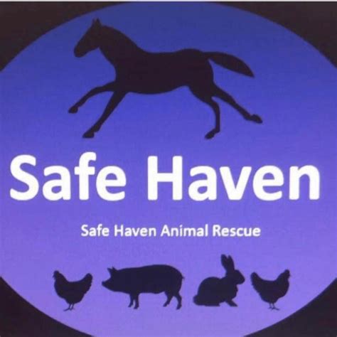 Safe Haven Animal Rescue Fundraising Easyfundraising