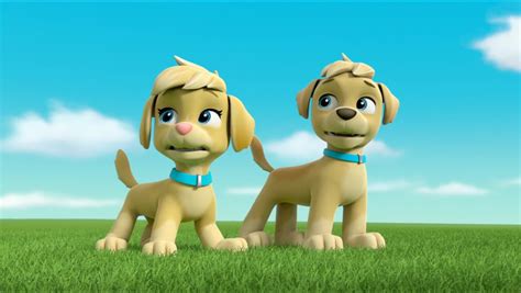 Paw Patrol Pups Meet The Mighty Twins