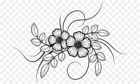 Black And White Flower Sketch Png Jjwagner