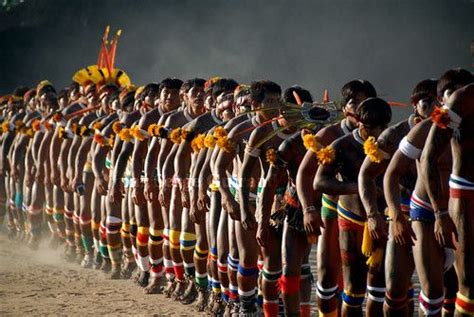 yawalapiti amazon rainforest tribes forest people photo sharing