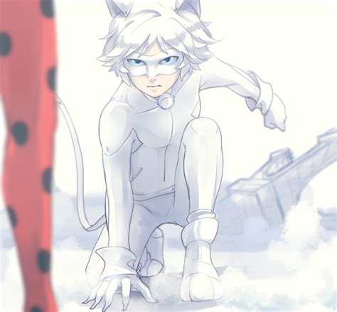 Chat Blanc Miraculous Ladybug Fan Art 43747006 Fanpop