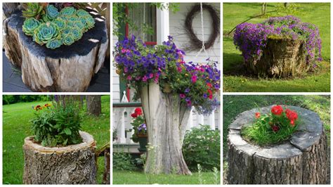 14 Interesting Ideas How To Decorate Your Garden With Tree
