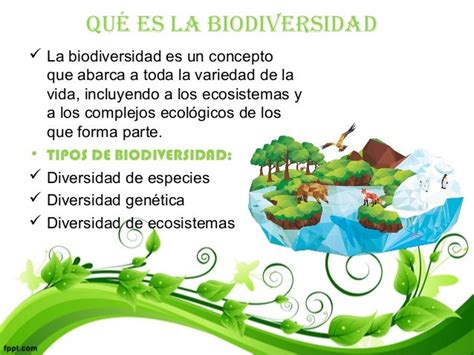 Que Es La Biodiversidad Bcc